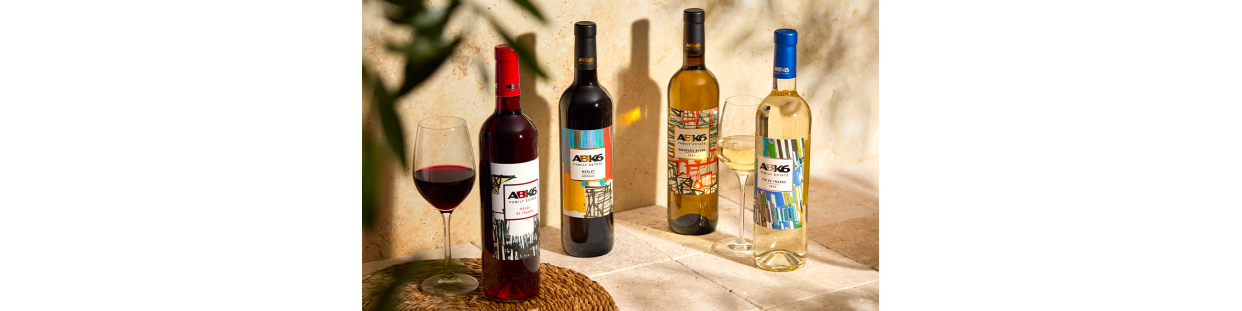 VINS